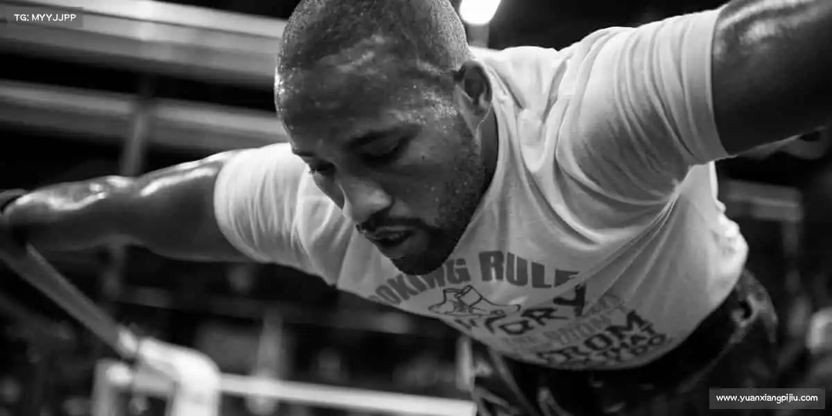 行业领先的理由